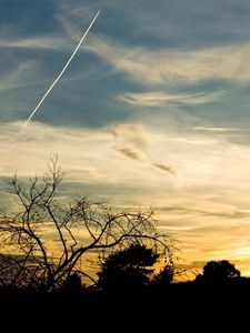 Preview wallpaper trees, silhouettes, twilight, evening, sky, plane, traces