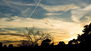 Preview wallpaper trees, silhouettes, twilight, evening, sky, plane, traces