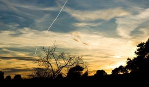 Preview wallpaper trees, silhouettes, twilight, evening, sky, plane, traces