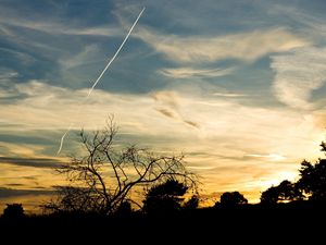 Preview wallpaper trees, silhouettes, twilight, evening, sky, plane, traces