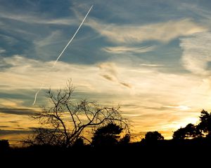 Preview wallpaper trees, silhouettes, twilight, evening, sky, plane, traces