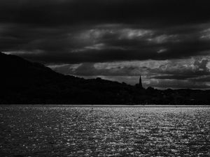 Preview wallpaper trees, silhouettes, water, clouds, glare, bw, black and white