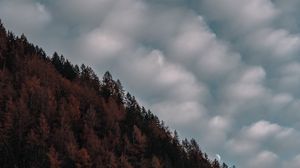 Preview wallpaper trees, sky, clouds, hill, evening