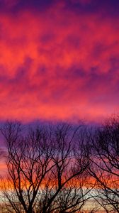 Preview wallpaper trees, sky, clouds, dusk, dark