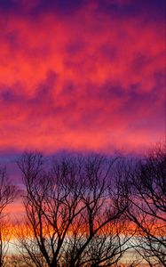 Preview wallpaper trees, sky, clouds, dusk, dark