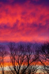 Preview wallpaper trees, sky, clouds, dusk, dark