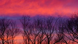 Preview wallpaper trees, sky, clouds, dusk, dark