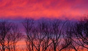 Preview wallpaper trees, sky, clouds, dusk, dark