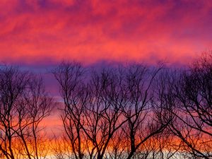 Preview wallpaper trees, sky, clouds, dusk, dark