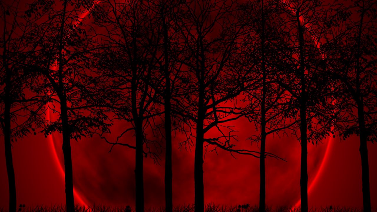 Wallpaper trees, sky, eclipse, night, blood hd, picture, image