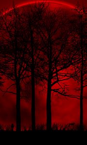 Preview wallpaper trees, sky, eclipse, night, blood