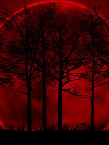 Preview wallpaper trees, sky, eclipse, night, blood