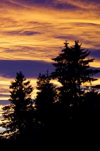 Preview wallpaper trees, sky, evening, clouds, outlines, twilight