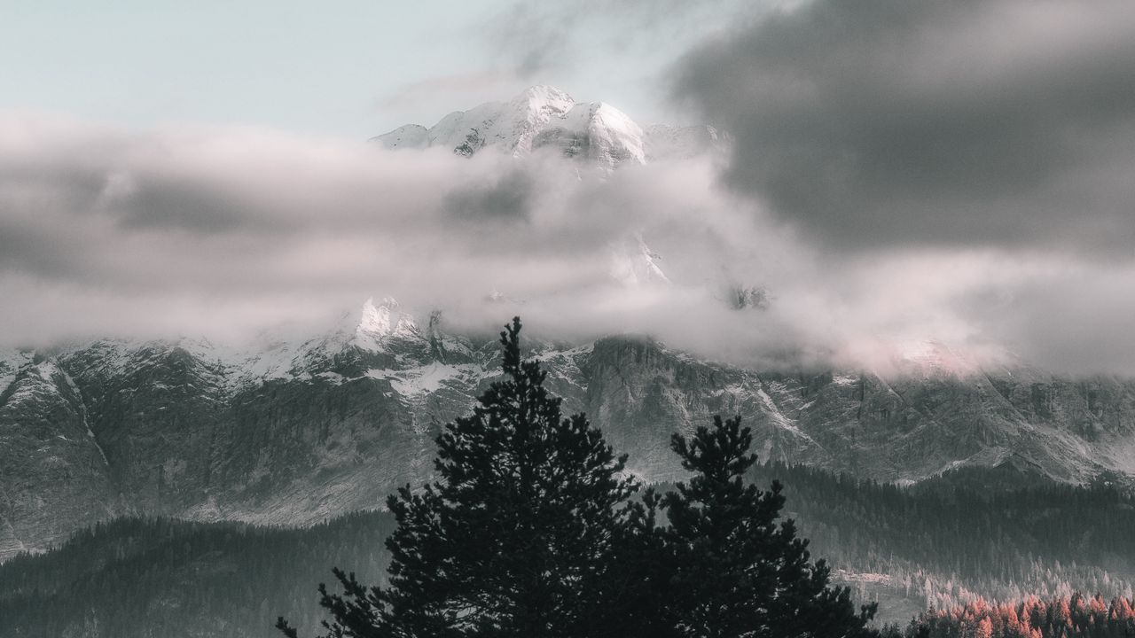 Wallpaper trees, sky, mountains, clouds, fog
