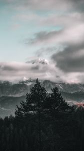 Preview wallpaper trees, sky, mountains, clouds, fog