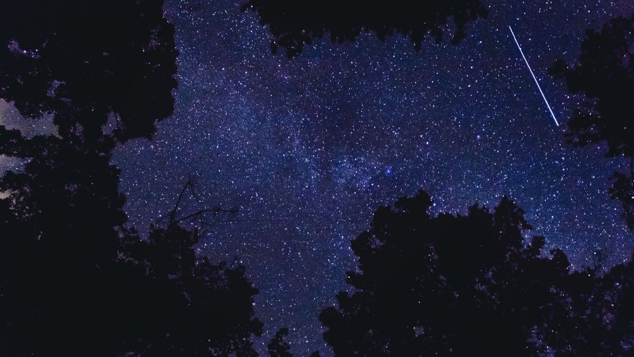 Wallpaper trees, sky, night, stars