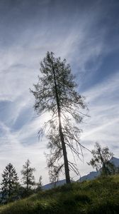 Preview wallpaper trees, sky, slope, grass, landscape, nature