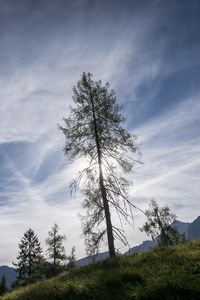 Preview wallpaper trees, sky, slope, grass, landscape, nature