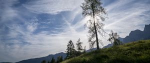 Preview wallpaper trees, sky, slope, grass, landscape, nature