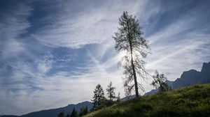 Preview wallpaper trees, sky, slope, grass, landscape, nature