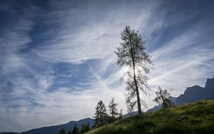 Preview wallpaper trees, sky, slope, grass, landscape, nature
