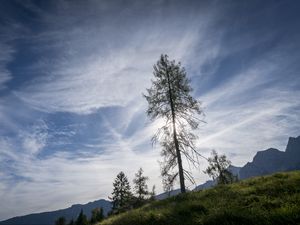 Preview wallpaper trees, sky, slope, grass, landscape, nature