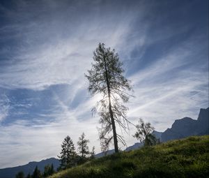 Preview wallpaper trees, sky, slope, grass, landscape, nature