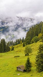 Preview wallpaper trees, slope, fog, house, nature