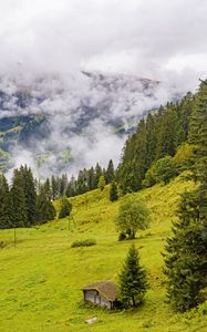 Preview wallpaper trees, slope, fog, house, nature