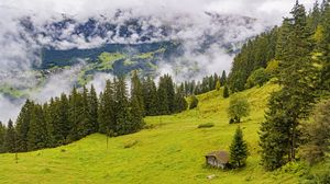 Preview wallpaper trees, slope, fog, house, nature