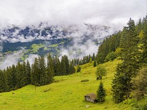 Preview wallpaper trees, slope, fog, house, nature