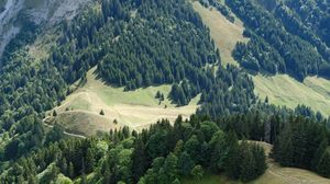 Preview wallpaper trees, slope, grass, nature