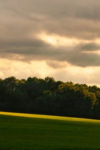 Preview wallpaper trees, slope, grass, clouds, nature