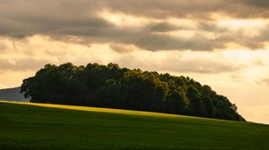 Preview wallpaper trees, slope, grass, clouds, nature