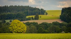 Preview wallpaper trees, slope, grass, field, nature