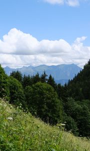 Preview wallpaper trees, slope, grass, landscape, clouds