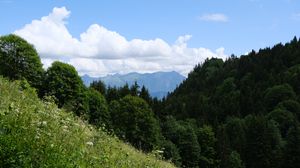 Preview wallpaper trees, slope, grass, landscape, clouds