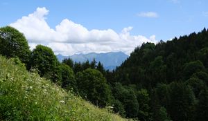 Preview wallpaper trees, slope, grass, landscape, clouds