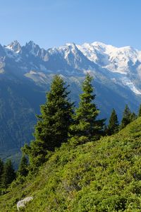 Preview wallpaper trees, slope, mountains, rocks