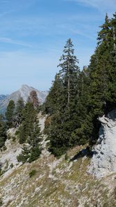 Preview wallpaper trees, slope, mountains, landscape, nature, sky