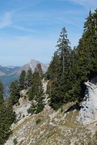 Preview wallpaper trees, slope, mountains, landscape, nature, sky