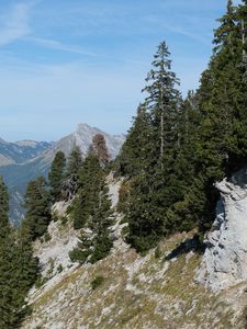 Preview wallpaper trees, slope, mountains, landscape, nature, sky