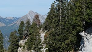 Preview wallpaper trees, slope, mountains, landscape, nature, sky