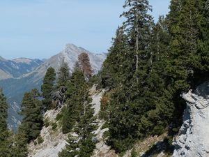 Preview wallpaper trees, slope, mountains, landscape, nature, sky