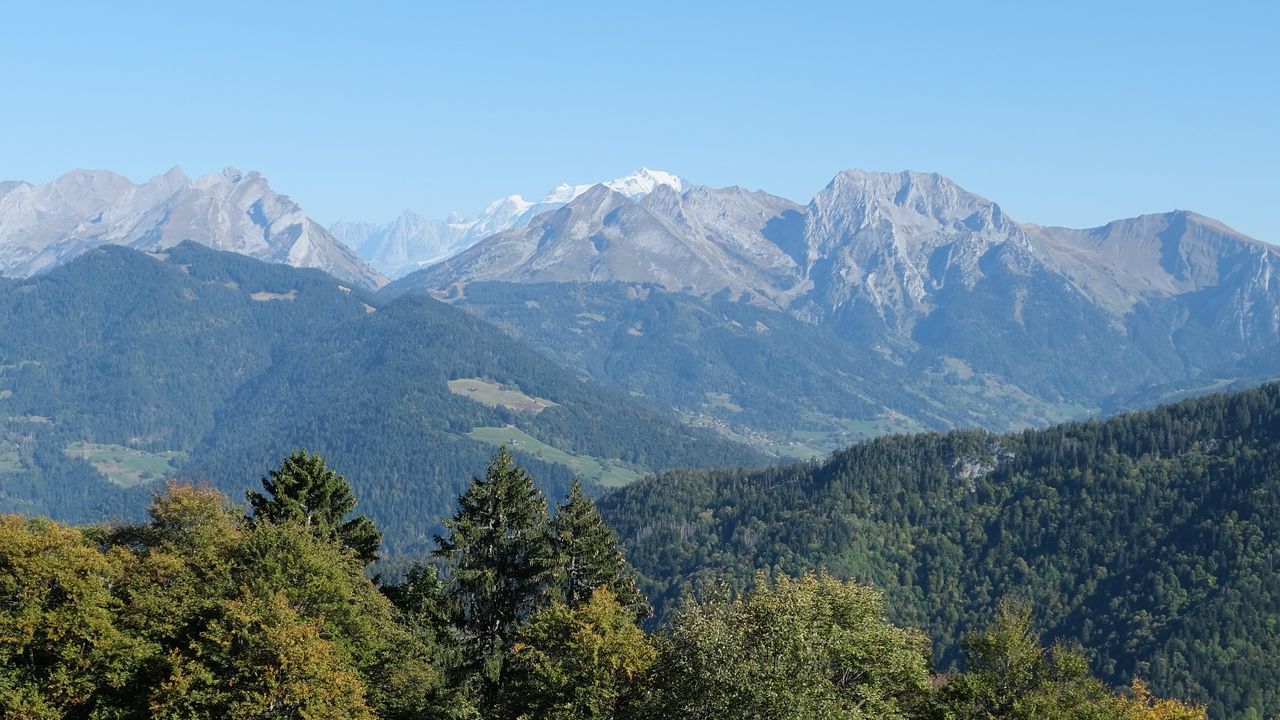 Wallpaper trees, slope, mountains, landscape, peaks