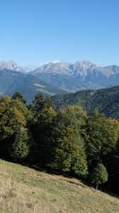 Preview wallpaper trees, slope, mountains, landscape, peaks