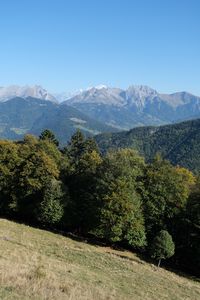 Preview wallpaper trees, slope, mountains, landscape, peaks