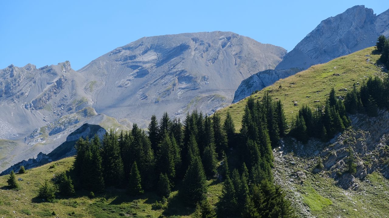 Wallpaper trees, slope, mountains, landscape