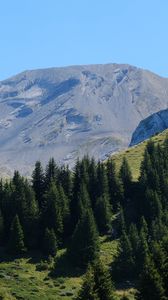 Preview wallpaper trees, slope, mountains, landscape