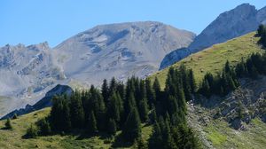 Preview wallpaper trees, slope, mountains, landscape